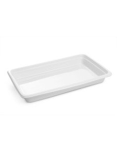 Bac gastronorme inox GN 1/1 (200 mm)