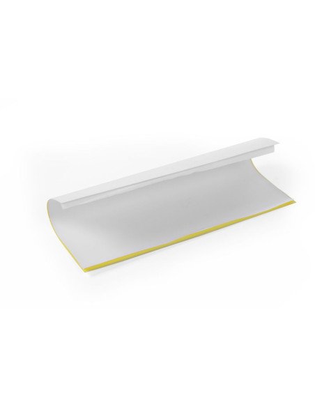 Glue boards for insect killers (10)