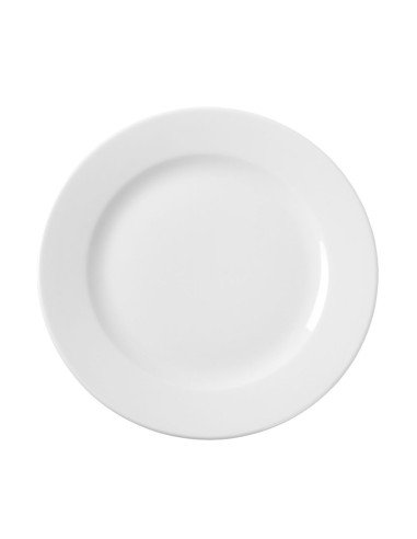 Dinner plate