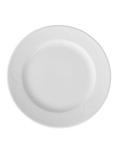 Dinner plate