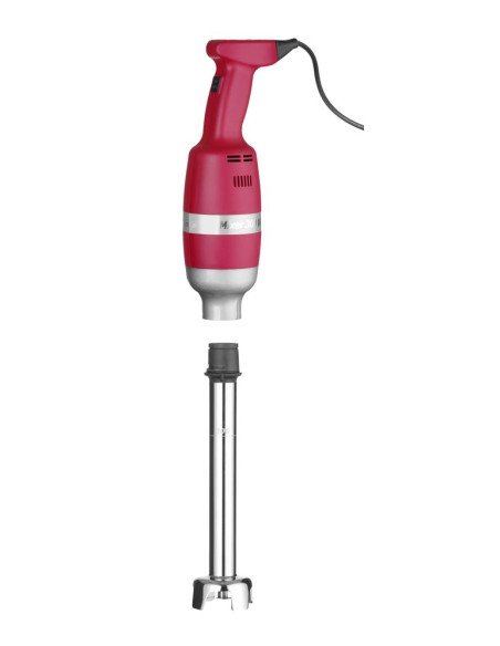 Mixeur plongeur Profi Line 300 vitesse réglable