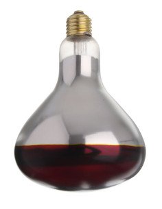 Reserve infrarood warmtelamp rood 2