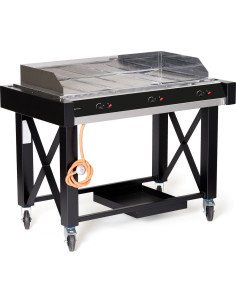 Gasbarbecue 3 branders 13 kW gesloten brander